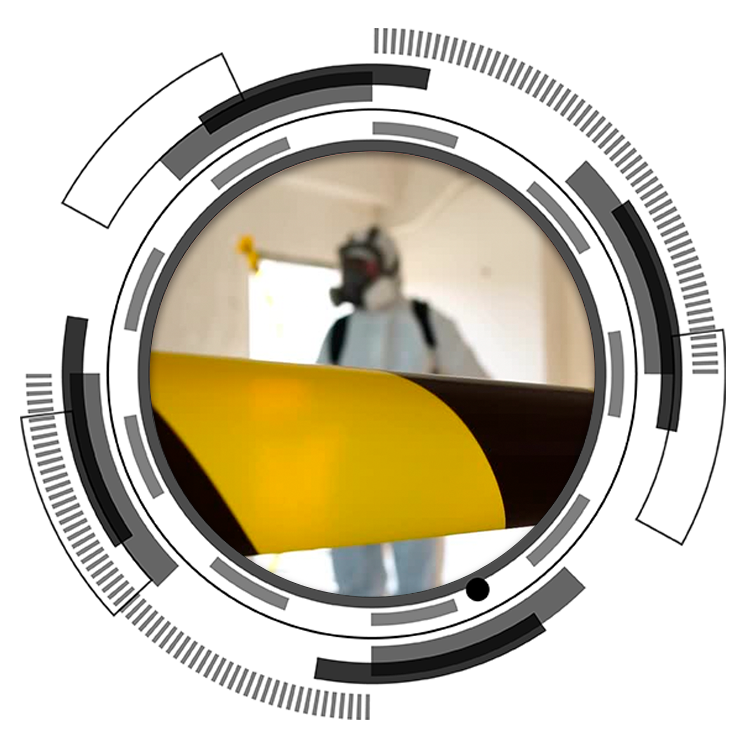 Desinfección y sanitización